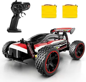 Tecnock RC Racing Car, 2.4Ghz High Speed Remote Control Car, 1_18 2WD Toy Cars Buggy